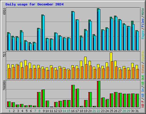 Daily usage for December 2024