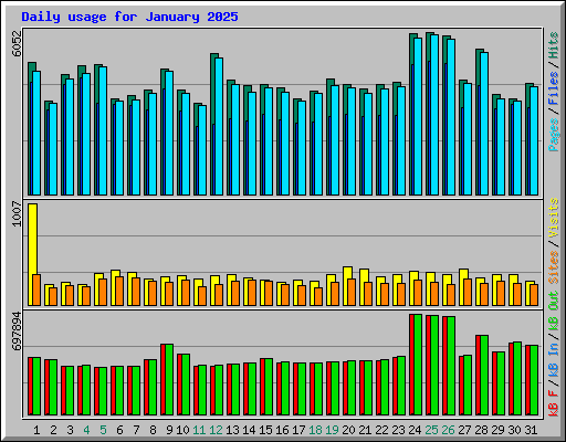 Daily usage for January 2025
