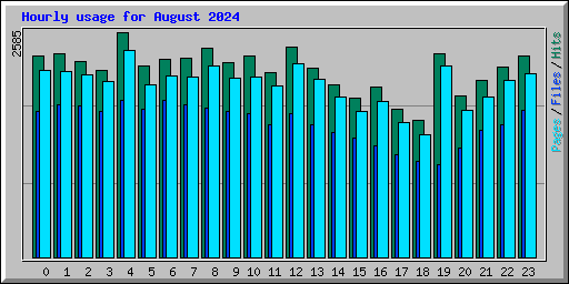 Hourly usage for August 2024
