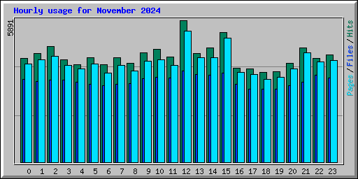 Hourly usage for November 2024