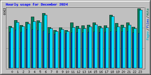 Hourly usage for December 2024