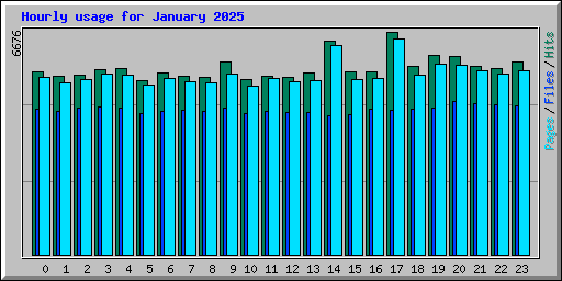 Hourly usage for January 2025