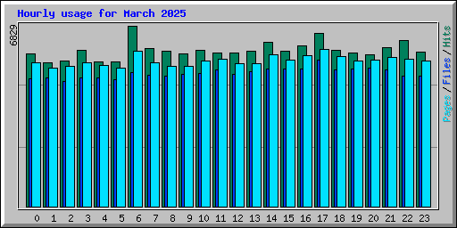 Hourly usage for March 2025