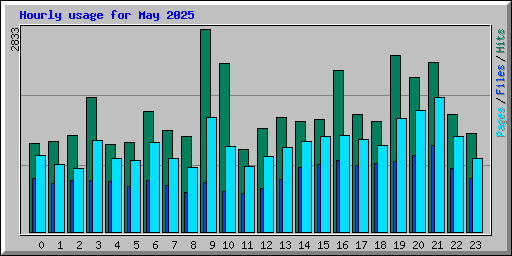Hourly usage for May 2025