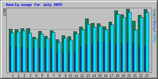 Hourly usage for July 2025