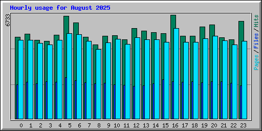 Hourly usage for August 2025